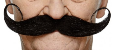 Tomfoolery Adhesive Black Moustache