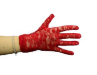 Interalia Short Lace Gloves