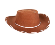 Tomfoolery Kid's Cowboy Hat
