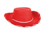 Tomfoolery Kid's Cowboy Hat