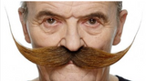 Tomfoolery Assorted Adhesive Moustache