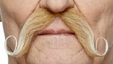 Tomfoolery Adhesive Moustache