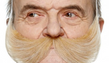 Tomfoolery Assorted Adhesive Bushy Moustache