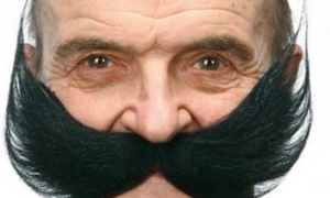 Tomfoolery Assorted Adhesive Bushy Moustache