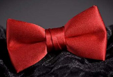 HappyTime Satin Bow Ties Assorted