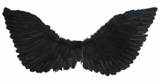 Tomfoolery Medium Wings 70cm x 30cm