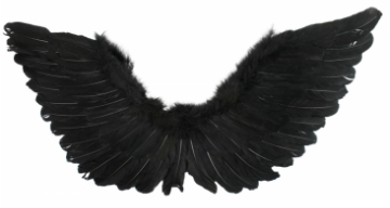 Tomfoolery Large Wings 90cm x 50cm