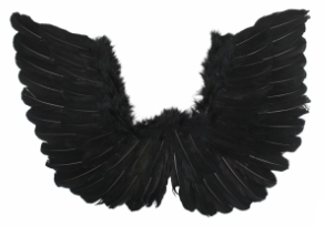 Tomfoolery Small Wings 50cm x 40cm