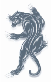 Interalia Temporary Tattoo - Panther