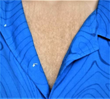 Carnival Adhesive Chest Hair