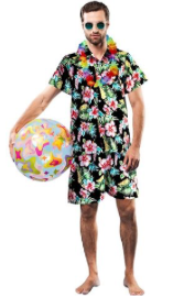 Interalia Adult's Aloha Hawaiian Man Costume