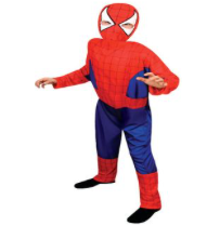 Interalia Kid's Spider Hero Costume