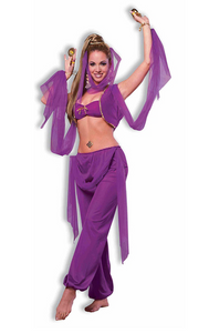 Tomfoolery Desert Princess Costume