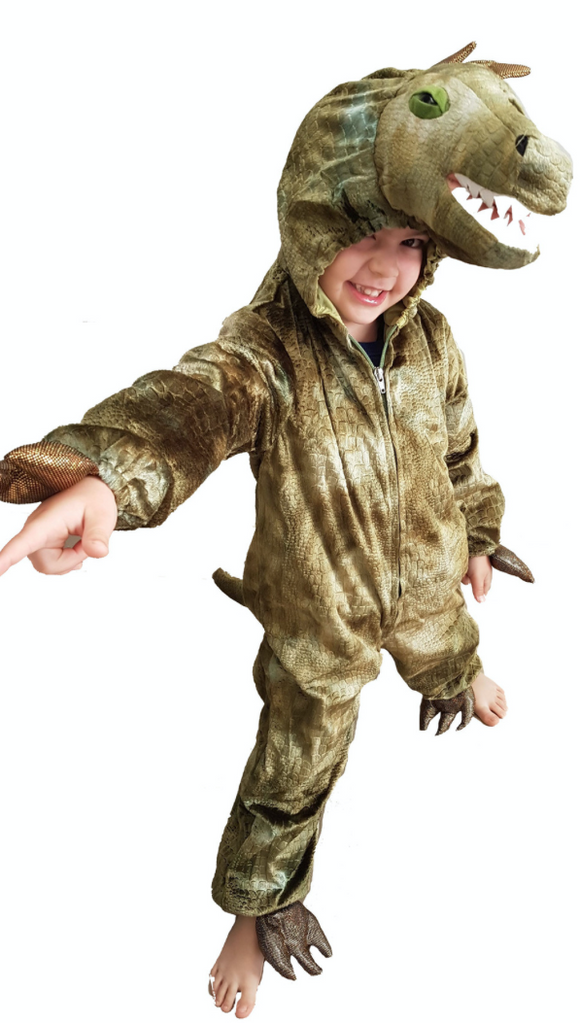Sweidas Childs T-Rex Costume