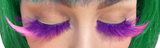 Carnival Pink and Purple Feathers