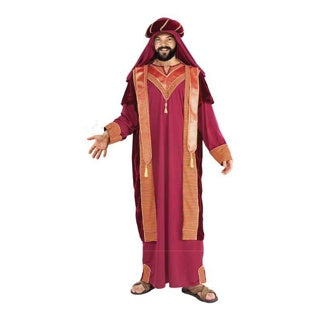 Tomfoolery Sultan Costume