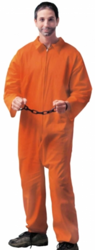 Tomfoolery Adult's Jailbird Costume
